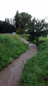 DSC01270